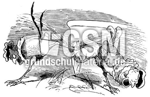 Hahnenkampf sw 06.jpg